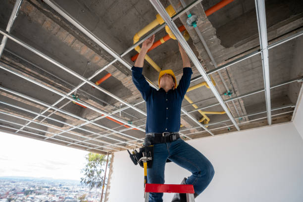 Best Same-Day Plumbing Service  in Versailles, IN
