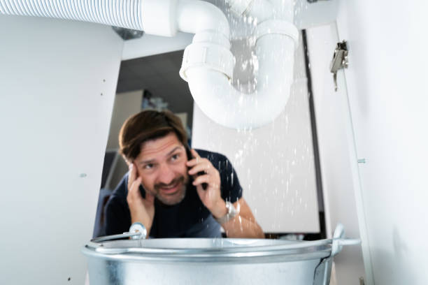 Best Clogged Drain Plumber  in Versailles, IN