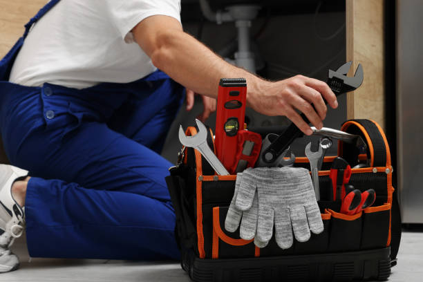 Best Local Plumber Services  in Versailles, IN
